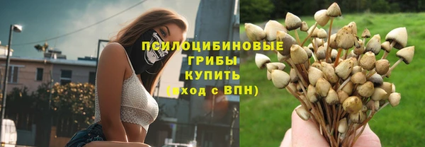 индика Балахна