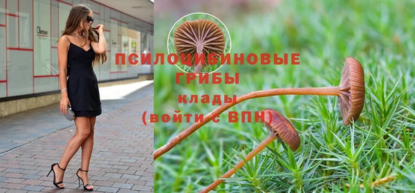 индика Балахна