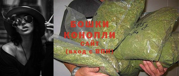 индика Балахна