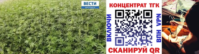 Дистиллят ТГК жижа  как найти   OMG tor  Ессентуки 